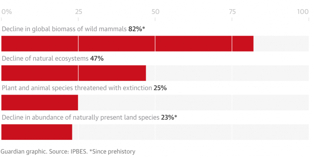 biodiversità, ONU, riscaldamento globale, cambiamento climatico, natura