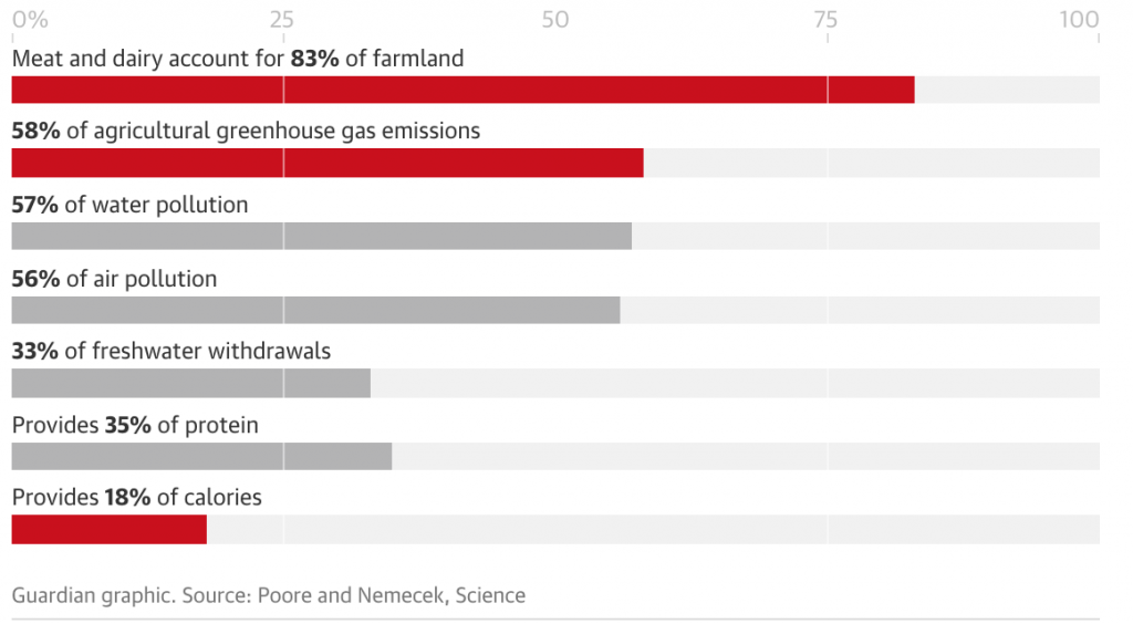 cambiamento climatico, onu, terra, natura, biodiversità