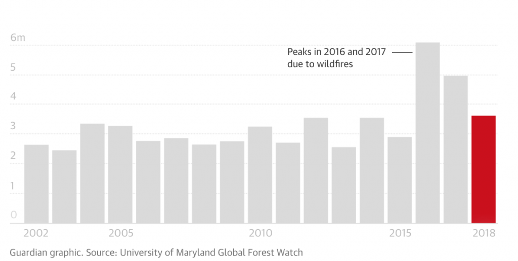 cambiamento climatico, riscaldamento globale, onu, terra, biodiversità, natura