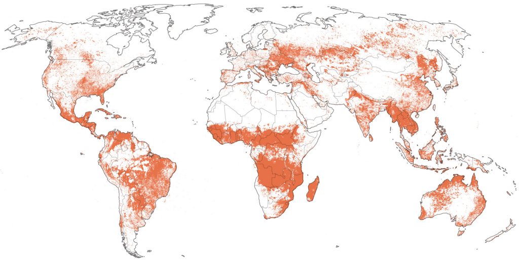 incendi, africa, siberia, amazzonia, cambiamento climatico, nasa