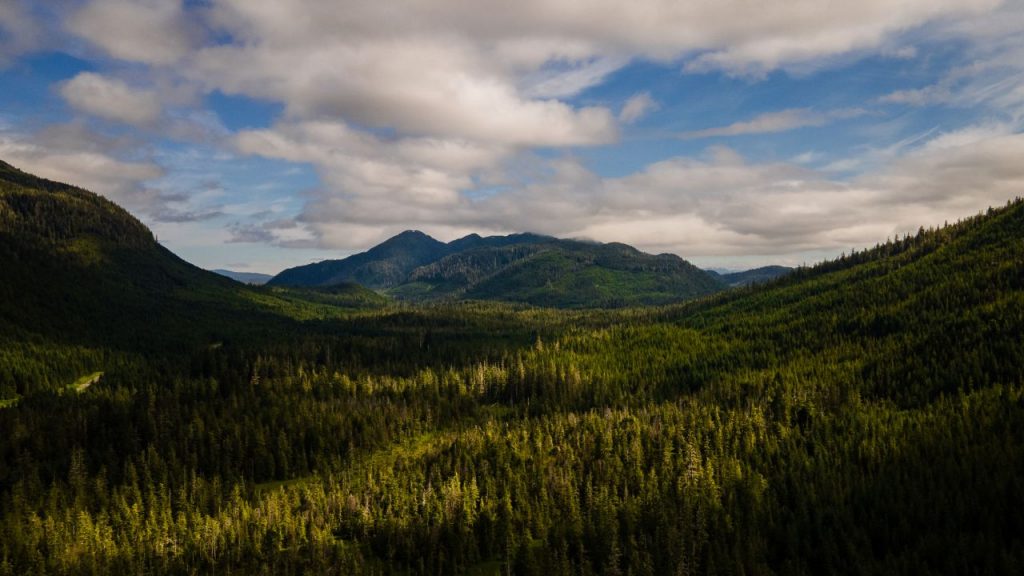 L'amministrazione Biden ha ripristinato le protezioni per la Tongass National Forest dell'Alaska, la più grande foresta pluviale temperata intatta del mondo, chiamata anche “l'Amazzonia d'America”.