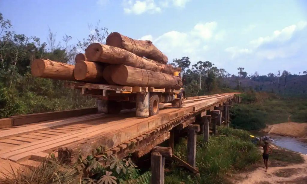 La foresta amazzonica è più secca, più infiammabile e più vulnerabile, tanto da indurre gli autori a mettere in guardia da futuri "megaincendi".