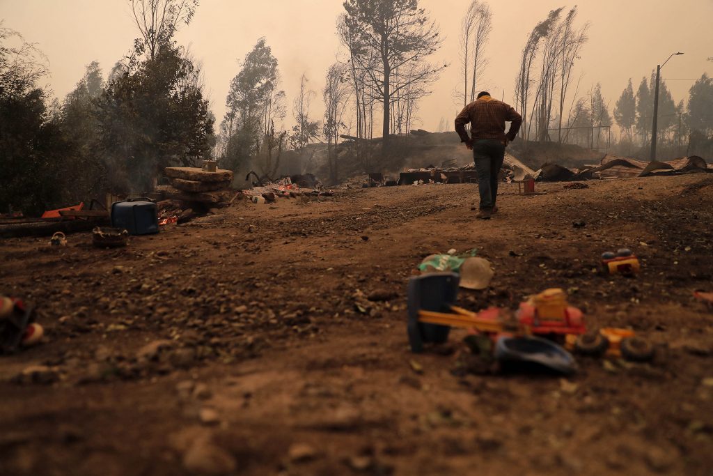 Alberi bruciati durante un incendio a Santa Juana, provincia di Concepcion, Cile, il 3 febbraio 2023
