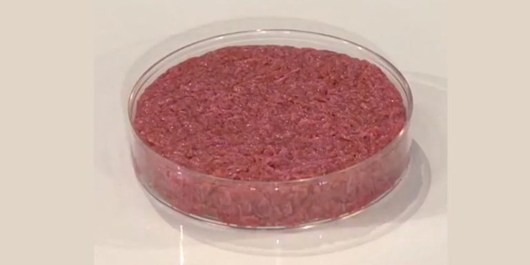 Il governo ha ritirato la notifica alla commissione europea del DDL sulla carne sintetica. Un esito ampiamente prevedibile per un provvedimento senza senso.