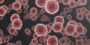 Nell'immagine alcune piccole cellule tumorali. Le leggende sul turbocancro da vaccino a mRNA continuano a circolare. Ma, in realtà, le cause di un tumore sono complesse.