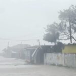 Le strade di New Hope, in Giamaica, inondate e gli alberi sferzati dal vento durante il passaggio dell'uragano Melissa